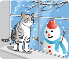 猫と雪