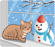 猫と雪