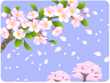 桜